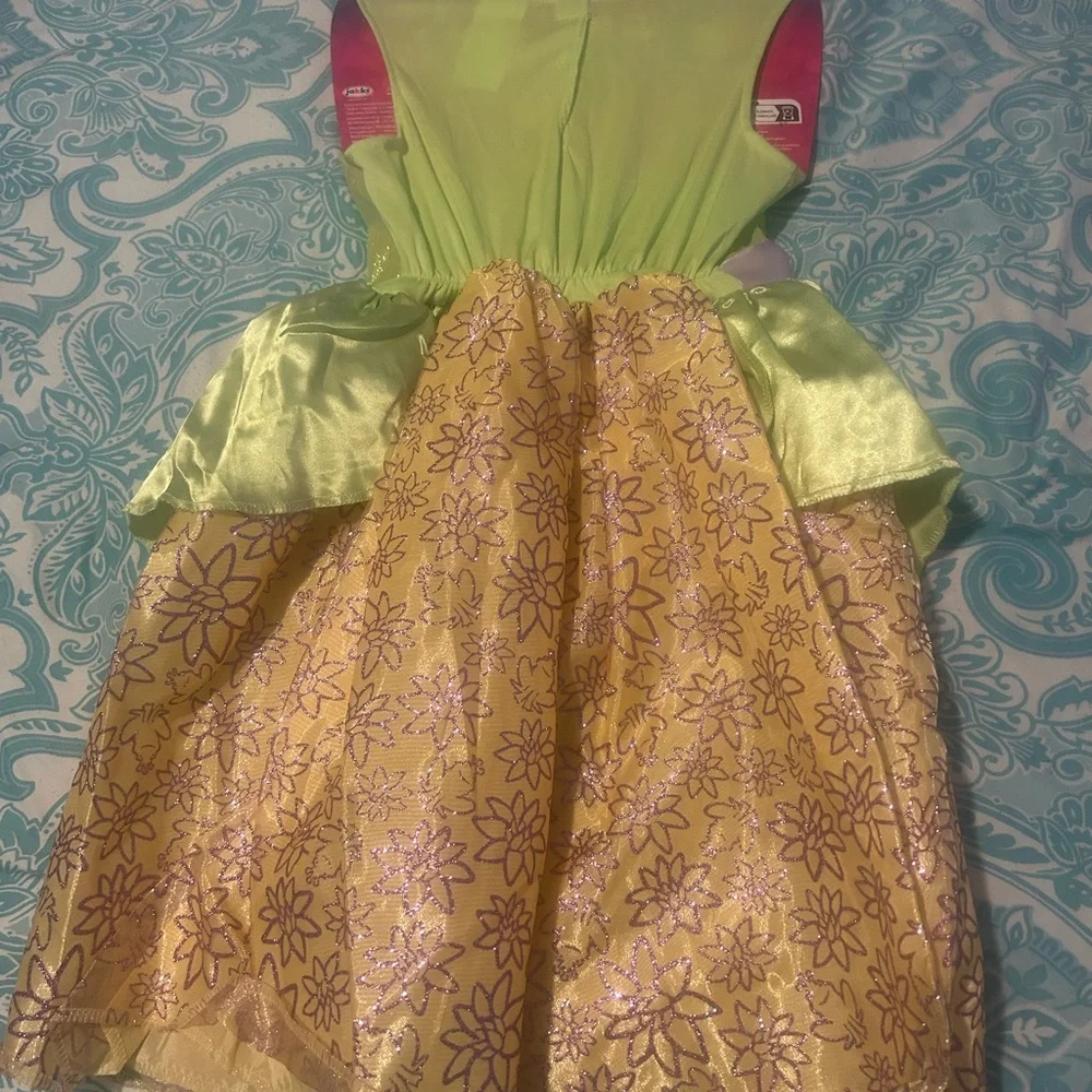 Princess Tiana Costume‎ Dress